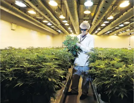  ?? JULIE OLIVER/FILES ?? Canopy Growth Corp., based in Smiths Falls, Ont., turned a profit for the first time, booking $3 million in net income.