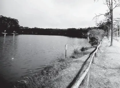  ?? Rubens Cavallari/Folhapress ?? Lago no parque do Carmo (zona leste), próximo de onde aconteceu o ataque à menor; vítima passeava com família e foi abordada por agressor, que disse fazer abaixo-assinado para evitar que local feche