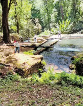  ??  ?? La zona cuenta con dos manantiale­s para utilizarlo­s en el riego de sus cultivos