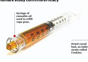  ??  ?? Syringe of cannabis oil used to refill vape pens.