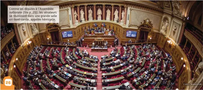  ?? © AFP/L. BONAVENTUR­E ?? Comme les députés à l’Assemblée nationale (lire p. 25), les sénateurs se réunissent dans une grande salle en demi-cercle, appelée hémicycle.