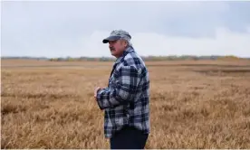  ??  ?? Robb Zeleny checks the wheat and canola fields on his Alberta farm after rain delayed the harvest. Photograph: Kyler Zeleny/for the Guardian