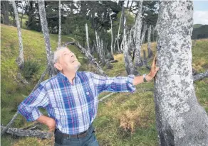  ?? Picture / Nick Reed ?? Dr Robin Harger says Totara Park, where many trees have died, has been overlooked by road designers.