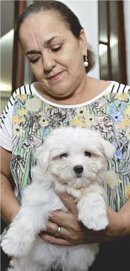  ??  ?? Márcia Andrade tem um canil em Itapuã, de onde foi levado um maltês