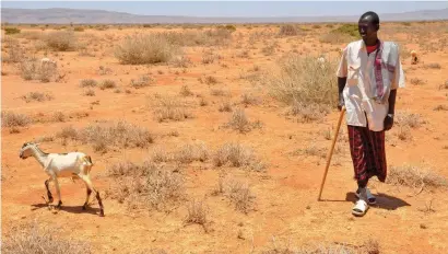  ?? FOTO CORTESÍA OXFAM ?? África soportó intensa sequía en 2016, efecto del cambio climático de origen humano. La hambruna fue severa en el sur de ese continente.