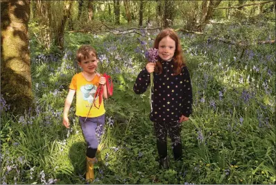  ??  ?? Alanna and Jacob Whitty, aged 7 and 5, enjoying a fine spring day walking in woods near Doneraile this week.