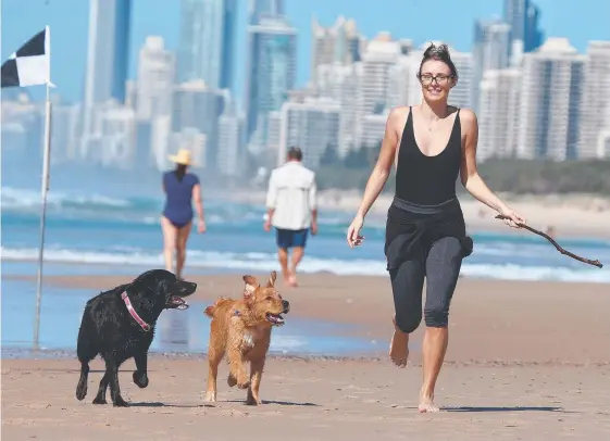  ?? Picture: MIKE BATTERHAM ?? Black labrador Bailey and retriever Lily are happiest when they’re at the beach, in this case The Spit, with owner Bianca Andersen.