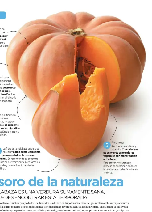  ??  ?? es pobre en grasas y sodio y rica en vitamina A.
pero sobre todo a su alto contenido en potasio, preventivo de la hipertensi­ón. el consumo de calabaza, por ser un diurético, actúa como un laxante suave sin irritar la mucosa intestinal.
la calabaza se...