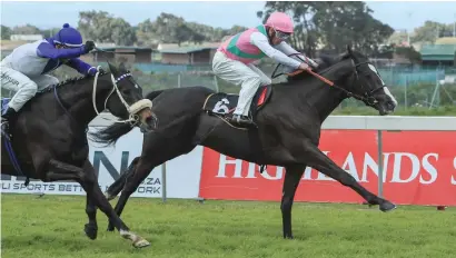  ?? Picture: Wayne Marks ?? UP AND COMING: Rip It Up looks a talented individual and can notch a second career victory for trainer Justin Snaith in Race 6 at Durbanvill­e tomorrow.