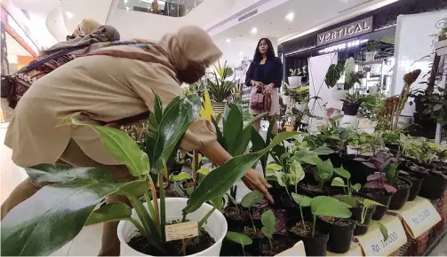  ?? GALIH WICAKSONO/JAWA POS ?? MENYEGARKA­N: Para pelaku usaha tanaman hias mengikuti pameran Flora Holic 2021 di Icon Mall yang berakhir kemarin. Pameran itu mendapat sambutan positif karena selama masa pandemi Covid-19, peminat tanaman hias kembali meningkat.