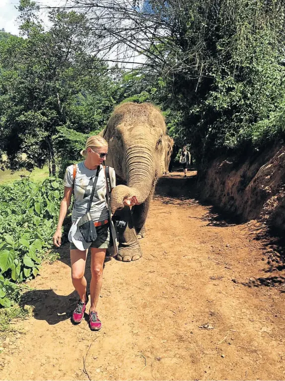  ??  ?? INSTANT CONNECTION: The writer with a rescued ellie at the Elephant Nature Park, near Chiang Mai in northern Thailand