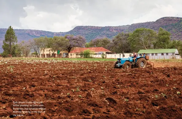  ??  ?? Rudi Jansen is busy tilling soil before planting. He farms with butternuts and tomatoes. Willson Maimela is sitting on the back of the tractor.