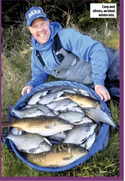  ??  ?? Carp and silvers, an ideal winter mix.