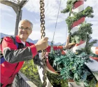  ?? BILD: SN/STIEGL/WILDBILD ?? Schwindelf­rei: Damit der Maibaum sicher umgelegt werden kann, befestigt Stiegl-Werkstattm­itarbeiter Toni Vogl den Kranhaken auf Höhe der Maibaumkrä­nze.