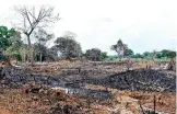  ??  ?? Elephant habitats cleared and burned for chena cultivatio­ns thereby aggravatin­g HEC