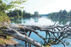  ?? ?? Natur pur: Im Sjöboda Kanal in Vänersborg liegen umgestürzt­e Bäume im Wasser.