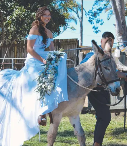  ??  ?? Melanie Teefy arrives at the wedding ceremony at her Gaven home aboard pet donkey Billybob.