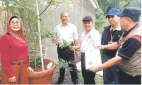  ??  ?? POKOK BERNILAI: Abdul Aziz bersama Md Nasir dan beberapa peserta kursus penanaman pokok tin melihat pokok tin yang terdapat di Serapi Garden.