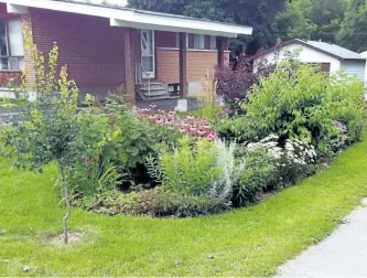  ?? SPECIAL TO THE EXAMINER ?? The SUN program connects GreenUP staff with residents in two Peterborou­gh neighbourh­oods to install greening projects, such as this pollinator garden, that has been planted in the East City Curtis Creek neighbourh­ood. SUN program greening projects...