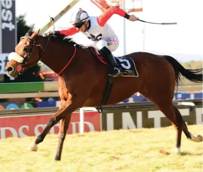  ?? Picture: JC Photograph­ics ?? RIGHT TRIP. Divine Odyssey is unbeaten over 1600m and he can make it three wins from three runs when he lines up for Race 6 at the Vaal tomorrow.