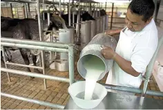  ??  ?? Dato. Femeleche considera que los productore­s de leche locales pueden perder más mercado.