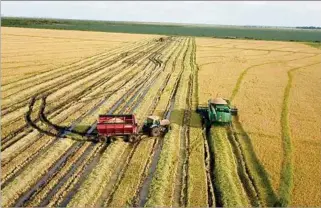  ?? ?? FINALIZADA. Salvando un remanente en el centro y en el este, la cosecha de arroz está terminada.