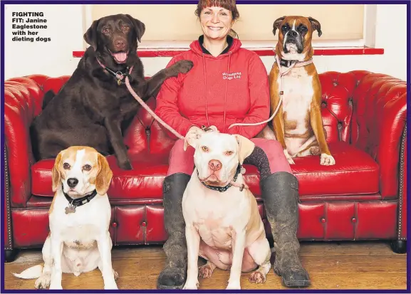  ?? Pictures: BILL MORTON ?? FIGHTING FIT: Janine Eaglestone with her dieting dogs