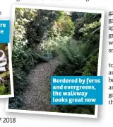 ??  ?? Bordered by ferns and evergreens, the walkway looks great now