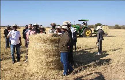  ?? Efano: Nampa ?? Ovanambele­wa koshikondo shelongo ova talela po NYS.