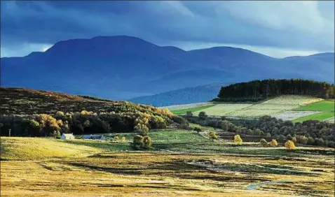  ?? Foto: Damian Shields/visit Scotland ?? Der Whisky-trail führt durch die Highlands von Grantown-on-spey.