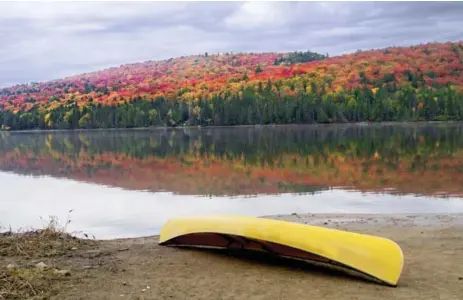  ?? DREAMSTIME ?? Algonquin Park in Ontario is breathtaki­ng at this time of year, with autumn leaves in full colour.