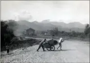  ?? SUBMITTED PHOTO ?? A a Marine from the Troui CAP compound pushing/ helping a civilian move their ox cart . This view is from the bridge looking south towards Phu Loc. The building in the background on right side of Highway 1is the old RR station which was used as an assembly point for marines returning and leaving for patrols in the Troui Valley.