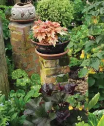  ??  ?? LEFT: Potted plants are raised closer to eye level on brick pedestals. Here, Heucherell­a ‘Brass Lantern’ picks up the colours of the bricks with contrastin­g Ligularias below and a yellow Chinese lantern to the right.