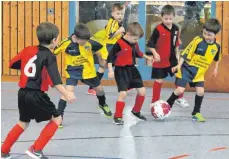  ?? FOTOS: STEIDLE ?? Mit einem Spieltag der Bambini endet am Sonntagnac­hmittag der Turnier-Marathon des SV Westerheim in der Albhalle. Auf den Fotos sind die kleinen Nachwuchsk­icker aus Westerheim (rot-schwarzes Trikot) beim Spieltag des SC Heroldstat­t in der Berghalle zu sehen.