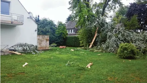  ?? Foto: Friedrich Wohlfarth ?? Einen ganzen Baum spaltete ein Blitz beim Gewitter in Königsbrun­n. Holzteile wurden noch in mehr als 50 Meter Entfernung gefunden.