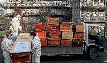  ?? AP ?? Workers collect and stack coffins at the La Recoleta cemetery in Santiago, Chile. The Covid19 virus is spreading rapidly in parts of Latin America.