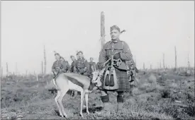  ??  ?? SOLDIERS: Nancy the Springbok, mascot of the 4th South African Infantry Regiment broke her horn during a German bombardmen­t in World War I, which from that time grew downwards.