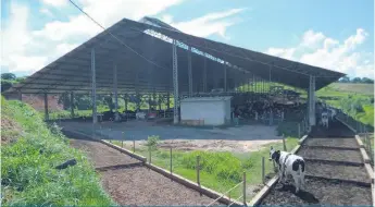  ?? ?? L’éleveur a investi l’équivalent de 2 700 $ CAN par vache dans ce hangar relié à une station d’épuration des eaux usées.