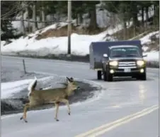  ?? JIM COLE — THE ASSOCIATED PRESS FILE ?? A deer runs across the road in Pittsburg, N.H. In Oregon, under a road kill bill passed overwhelmi­ngly by the Legislatur­e and signed by the governor, motorists who crash into the animals can now harvest the meat for human consumptio­n.