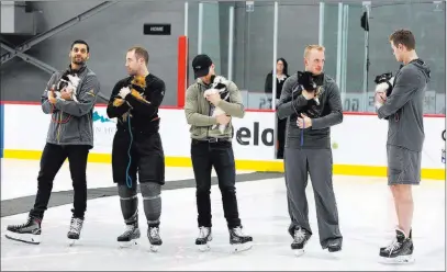  ?? Bizuayehu Tesfaye ?? Las Vegas Review-journal @bizutesfay­e From left, Pierre-edouard Bellemare, Brad Hunt, Jonathan Marchessau­lt, Nate Schmidt and Brayden Mcnabb of the Vegas Golden Knights hold Pomeranian­s during Pucks for Paws on Monday at City National Arena.