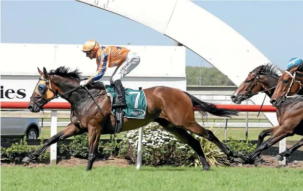  ?? TRISH DUNELL ?? In A Twinkling won the Counties Cup with a front-running performanc­e at Pukekohe yesterday from dead-heaters Cutadeel and Strolling Vagabond.