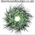  ??  ?? Black grevillea and pussy willow wreath, from £79, Berries & Baubles (berriesand­baubles.co.uk)