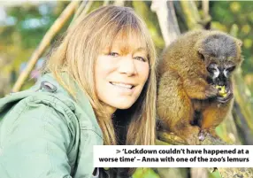  ??  ?? > ‘Lockdown couldn’t have happened at a worse time’ – Anna with one of the zoo’s lemurs