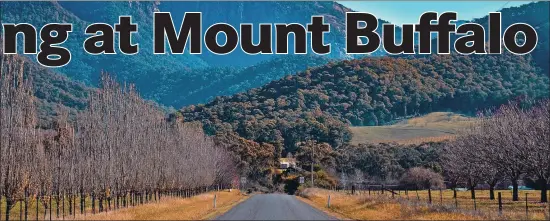  ?? ?? Picture perfect: The drive to Mount Buffalo is picturesqu­e to say the least.