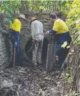  ??  ?? ENTRY POINT: Council workers seal up a drain at Cairns Botanic Gardens where a feral pig was believed to have gained entry.