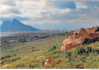  ?? ERASMO FENOY ?? Espacio natural de Los Portichuel­os en La Línea.