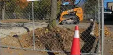  ?? JACK LAKEY ?? Excavation work damaged the roots of large trees at Neil McLellan Park.