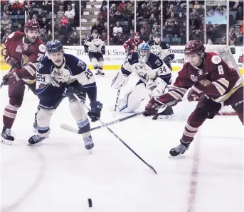  ??  ?? Le Titan d’Acadie-Bathurst n’a accordé que 19 buts en 10 matchs depuis le début des présentes séries éliminatoi­res. - Archives