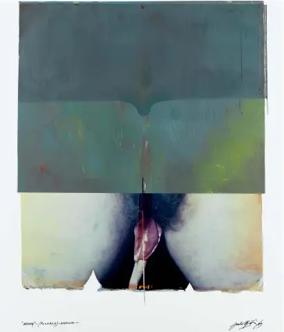  ??  ?? Paolo Gioli. « Natura ». 2009. Polaroid et acrylique. 70×65 cm.