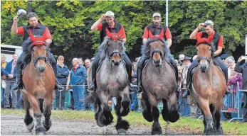  ?? FOTO: AXEL PRIES ?? Die schiere Kraft, aber doch auch elegant und gewandt: Kaltblüter der „Bauern-Quadrille“aus Aichstette­n bei einer Vorführung.